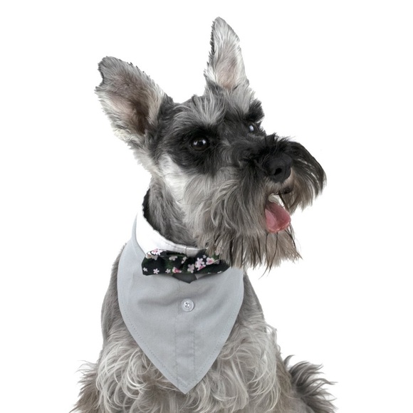 Vibrant Life Dog Suit & Tie Bandana - Picture 1 of 3